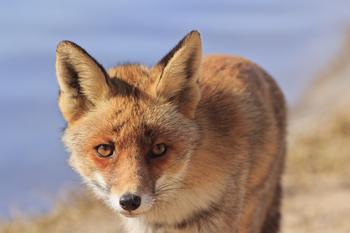 �����Ƽ�������Ƶ���ൺ����������й©��������22������...