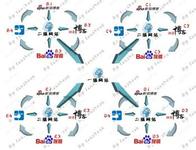 �齫����������Ƶ��Ϊ�й�ע���»���  ����������»���...